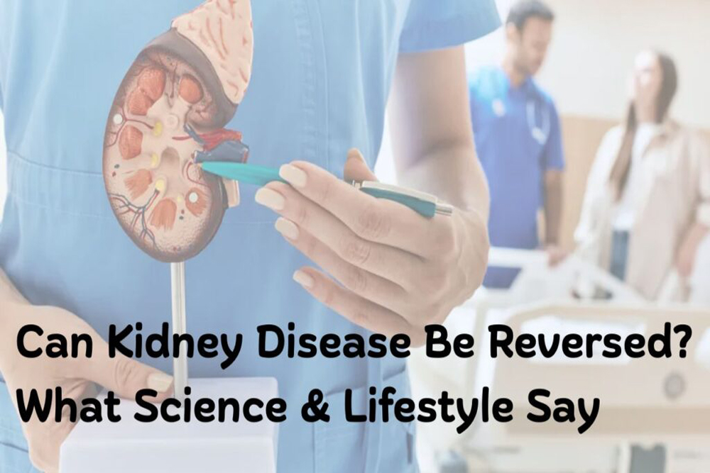 CKD Reversal — What the Science Actually Says vs. What You’ve Been Told