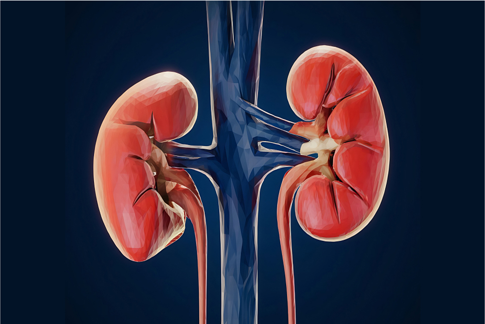 You Were Born to Live Forever — The REGENEROS Vision and What It Means for Your CKD