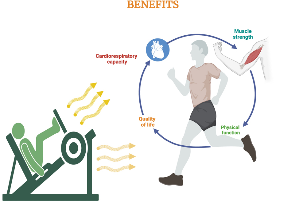 The CKD Exercise Prescription — Safe, Effective Movement for Every Stage