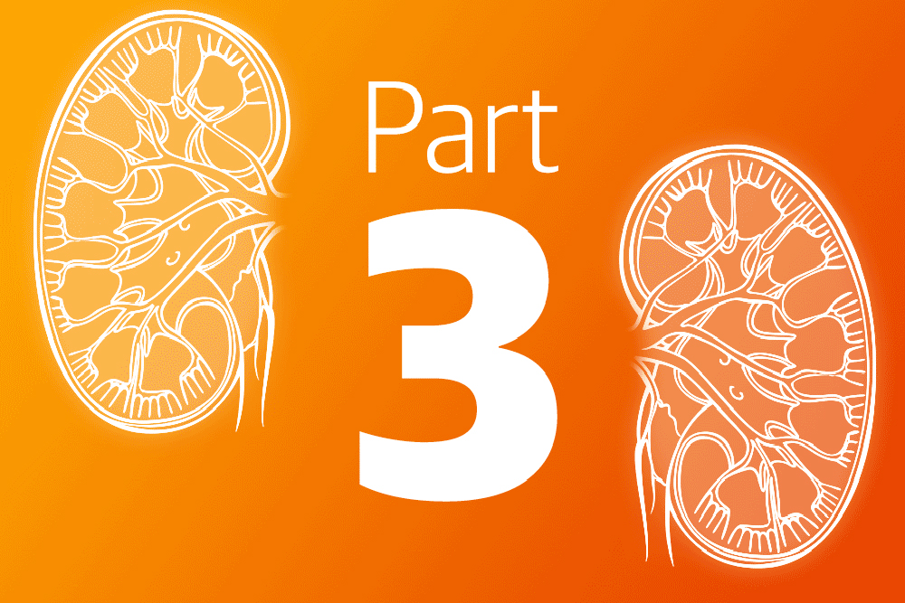 A Beloved Relative’s Kidneys at 78  — and Why He Is Still Working at 86